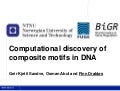 Drablos Composite Motifs Bosc2009