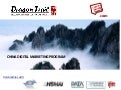 Dragon Trail China Digital Marketing Summary Nov 2010