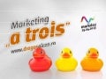 Marketing „a-trois” - client, agentie si consultant