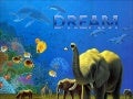 Dream The Imposible Dream