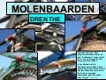 DRENTSE MOLENBAARDEN 2009