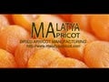 Dried Apricots