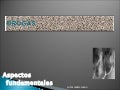 Drogas
