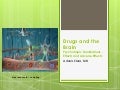 Drugs and the brain