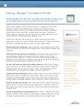 eMeter Energy Engage Customer Portal Application Data Sheet