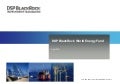 DSP BlackRock World Energy Fund