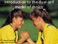 The dual self model of consumer decision making