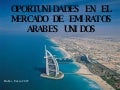 Oportunidades de Mercado en Dubai