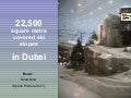 Dubai Ski