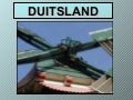 DUITSE MOLENBAARDEN