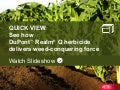 DuPont™ Realm<sup>®</sup> Q Herbicide