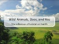 Wild Animals, Zoos, and You: The Influence of Habitat on Health (John Durant)