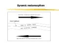 Dynammet