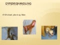 Dyremishandling