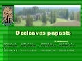 Dzelzavas pagasts