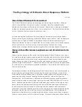 E share! white paper