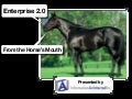 Enterprise 2.0: Straight From The Horse's Mouth
