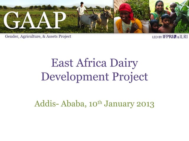 EADD GAAP Presentation January 2013