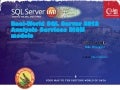 Real-world BISM in SQL Server 2012 SSAS