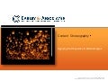 Earley associates content-choreography_approach-2011-04-28