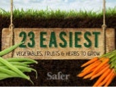 23 Easiest Vegetables, Fruits and H...