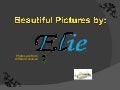 Eb beautiful pictures
