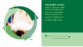 Manager's Guide to Preventing Nurse Burnout
