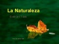 Eckhart Tolle   Naturaleza +