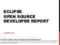 Eclipse survey 2012 report [final]