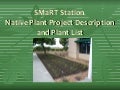EcoFriendly Landscaping at SMaRT Station
