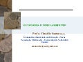Economia e Meio Ambiente