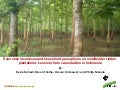 Economic incentives and household perceptions on smallholder timber plantations lessons from case studies in Indonesia