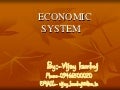 Economic system vj
