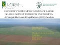 Economy wide implications of large scale land investments in Ethiopia