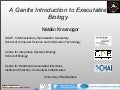 Executable Biology Tutorial