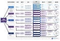 Edelman Digital SCO Process