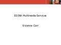 EDINA Multimedia Services
