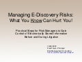 E Discovery Risks for Risk Managers