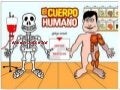 E el cuerpo humano
