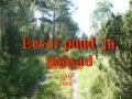 Eesti Puud Ja PõõSad