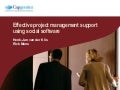 Effective Project Management Support Using Social Software