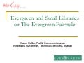 Evergreen in Small Libraries