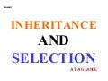 All About Inheritance And Selection
