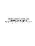 Resumen De Un Trabajo De Investigacion Ejemplo