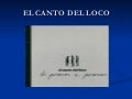 El canto del loco