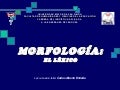 Morfología: El léxico