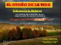 El otoño de la vida