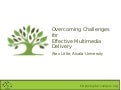eLearning Africa: Overcoming Challenges in Multimedia Delivery