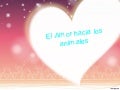 El amor hacia los animales