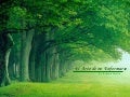 El Arte De No Enfermarse